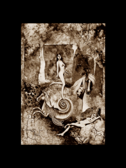 Eternelles Illustrations ©Thierry Chollat