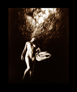 Les oracles de la sibylle Illustrations ©Thierry Chollat