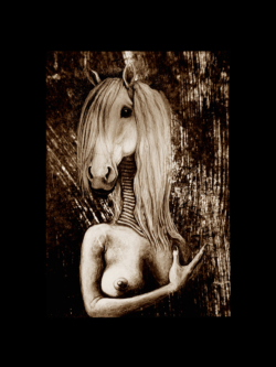Confusion Illustrations ©Thierry Chollat