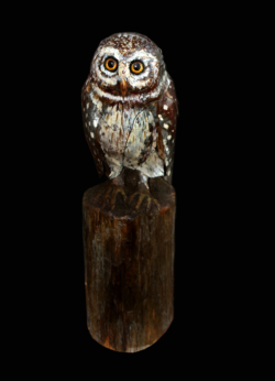 Chevechette Fer et bois ©Thierry Chollat
