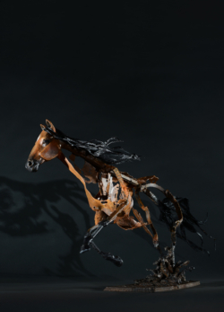 Cheval - ©Thierry Chollat
