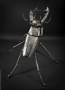 Le Coryphée Le Coryphée - Interprétations d'instruments de Musique ©Thierry Chollat