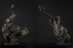 Vicissitudes Vicissitudes - Violons en bronze