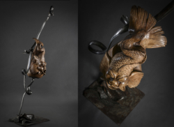 Voluptés chimériques Violoncelle