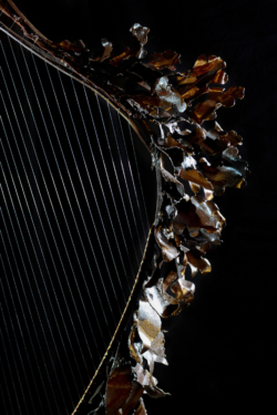 Frondaison Frondaison - Harpe - Interprétations d'instruments de Musique ©Thierry Chollat