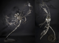 Variations capiteuses Variations capiteuses