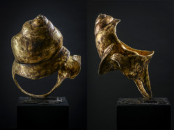 Auditorium I Auditorium I