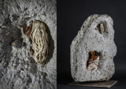 Exode Exode, violon en bois et béton - Sculpture Thierry Chollat