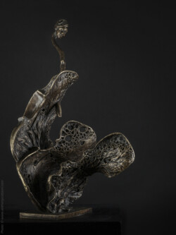 Vicissitudes Vicissitudes - Violons en bronze