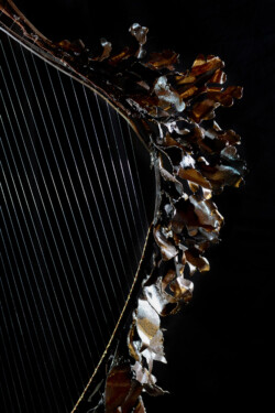 Harpe diatonique, détail : feuillage Harpe diatonique Interprétations d'instruments de Musique ©Thierry Chollat