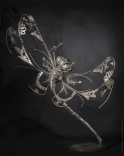 Variations capiteuses Variations capiteuses