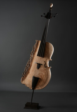 Violoncelle Violoncelle fer et bois (frêne) Interprétations d'instruments de Musique ©Thierry Chollat